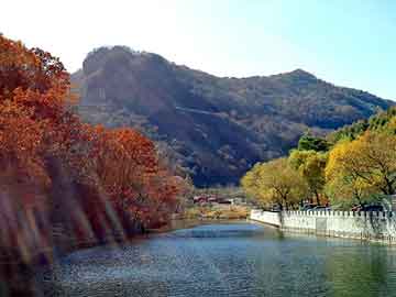 澳门二四六天天彩图库，鸡粪喂猪